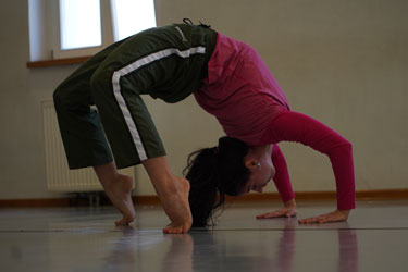 Brina Dokl